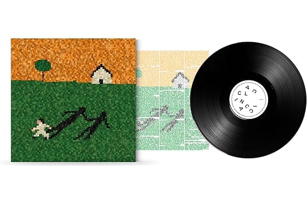 Calcinacci (Vinile Standard)